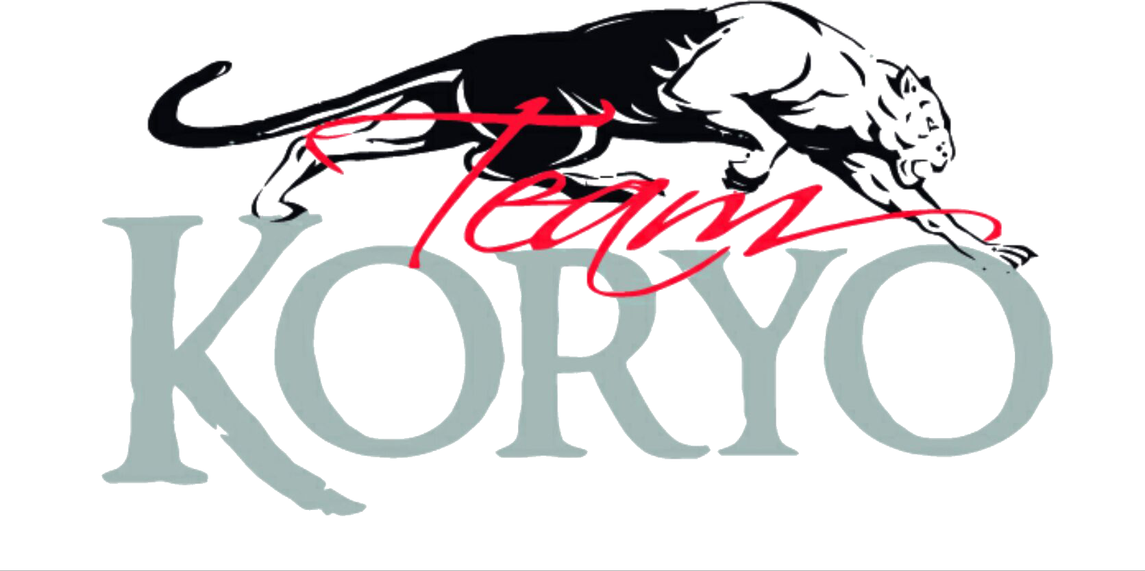 C.D KICK BOXING KORYO